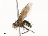  ( - CBG-A53666-E02)  @11 [ ] CreativeCommons - Attribution Share - Alike (2024) CBG Photography Group Centre for Biodiversity Genomics