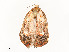  ( - CBG-A53666-E10)  @11 [ ] CreativeCommons - Attribution Share - Alike (2024) CBG Photography Group Centre for Biodiversity Genomics