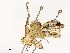  ( - CBG-A53667-A02)  @11 [ ] CreativeCommons - Attribution Share - Alike (2024) CBG Photography Group Centre for Biodiversity Genomics