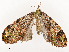 ( - CBG-A53667-D05)  @11 [ ] CreativeCommons - Attribution Share - Alike (2024) CBG Photography Group Centre for Biodiversity Genomics