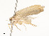  ( - CBG-A53668-C11)  @11 [ ] CreativeCommons - Attribution Share - Alike (2024) CBG Photography Group Centre for Biodiversity Genomics