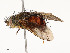  ( - CBG-A53668-D12)  @11 [ ] CreativeCommons - Attribution Share - Alike (2024) CBG Photography Group Centre for Biodiversity Genomics