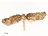  ( - CBG-A54465-C04)  @11 [ ] CreativeCommons - Attribution Share - Alike (2024) CBG Photography Group Centre for Biodiversity Genomics
