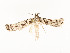  ( - CBG-A54466-D04)  @11 [ ] CreativeCommons - Attribution Share - Alike (2024) CBG Photography Group Centre for Biodiversity Genomics