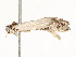  ( - CBG-A54466-D11)  @11 [ ] CreativeCommons - Attribution Share - Alike (2024) CBG Photography Group Centre for Biodiversity Genomics