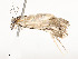  ( - CBG-A54466-E01)  @11 [ ] CreativeCommons - Attribution Share - Alike (2024) CBG Photography Group Centre for Biodiversity Genomics