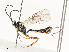  ( - CBG-A54466-H02)  @11 [ ] CreativeCommons - Attribution Share - Alike (2024) CBG Photography Group Centre for Biodiversity Genomics