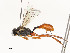  ( - CBG-A54466-H03)  @11 [ ] CreativeCommons - Attribution Share - Alike (2024) CBG Photography Group Centre for Biodiversity Genomics