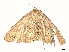  ( - CBG-A54467-A05)  @11 [ ] CreativeCommons - Attribution (2024) CBG Photography Group Centre for Biodiversity Genomics