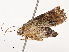 ( - CBG-A54467-A12)  @11 [ ] CreativeCommons - Attribution Share - Alike (2024) CBG Photography Group Centre for Biodiversity Genomics