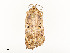  ( - CBG-A51934-D10)  @11 [ ] CreativeCommons - Attribution Share - Alike (2024) CBG Photography Group Centre for Biodiversity Genomics