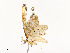  ( - CBG-A51935-C12)  @11 [ ] CreativeCommons - Attribution Share - Alike (2024) CBG Photography Group Centre for Biodiversity Genomics