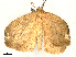  ( - CBG-A51965-D10)  @11 [ ] CreativeCommons - Attribution Share-Alike (2024) CBG Photography Group Centre for Biodiversity Genomics