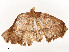  ( - CBG-A51965-F07)  @11 [ ] CreativeCommons - Attribution Share - Alike (2024) CBG Photography Group Centre for Biodiversity Genomics
