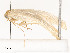  ( - CBG-A51965-H03)  @11 [ ] CreativeCommons - Attribution Share - Alike (2024) CBG Photography Group Centre for Biodiversity Genomics