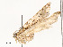  ( - CBG-A51965-H04)  @11 [ ] CreativeCommons - Attribution Share - Alike (2024) CBG Photography Group Centre for Biodiversity Genomics