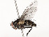  ( - CBG-A51967-B07)  @11 [ ] CreativeCommons - Attribution Share - Alike (2024) CBG Photography Group Centre for Biodiversity Genomics