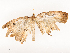  ( - CBG-A53667-G02)  @11 [ ] CreativeCommons - Attribution Share - Alike (2024) CBG Photography Group Centre for Biodiversity Genomics