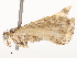  ( - CBG-A54468-D05)  @11 [ ] CreativeCommons - Attribution Share - Alike (2024) CBG Photography Group Centre for Biodiversity Genomics