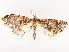  ( - CBG-A54470-A06)  @11 [ ] CreativeCommons - Attribution Share - Alike (2024) CBG Photography Group Centre for Biodiversity Genomics