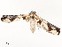  ( - CBG-A54470-A11)  @11 [ ] CreativeCommons - Attribution Share - Alike (2024) CBG Photography Group Centre for Biodiversity Genomics