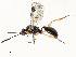  ( - CBG-A54470-F10)  @11 [ ] CreativeCommons - Attribution Share - Alike (2024) CBG Photography Group Centre for Biodiversity Genomics