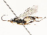  ( - CBG-A54471-E07)  @11 [ ] CreativeCommons - Attribution Share - Alike (2024) CBG Photography Group Centre for Biodiversity Genomics