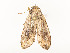  ( - CBG-A54472-C05)  @11 [ ] CreativeCommons - Attribution Share - Alike (2024) CBG Photography Group Centre for Biodiversity Genomics