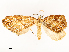  ( - CBG-A54490-G02)  @11 [ ] CreativeCommons - Attribution Share - Alike (2024) CBG Photography Group Centre for Biodiversity Genomics