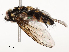  ( - CBG-A54491-D12)  @11 [ ] CreativeCommons - Attribution Share - Alike (2024) CBG Photography Group Centre for Biodiversity Genomics