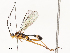  ( - CBG-A54491-F03)  @11 [ ] CreativeCommons - Attribution Share - Alike (2024) CBG Photography Group Centre for Biodiversity Genomics