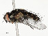  ( - CBG-A54492-A02)  @11 [ ] CreativeCommons - Attribution Share - Alike (2024) CBG Photography Group Centre for Biodiversity Genomics