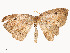  ( - CBG-A54492-B04)  @11 [ ] CreativeCommons - Attribution Share - Alike (2024) CBG Photography Group Centre for Biodiversity Genomics