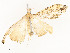  ( - CBG-A54492-C08)  @11 [ ] CreativeCommons - Attribution Share - Alike (2024) CBG Photography Group Centre for Biodiversity Genomics