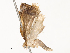  ( - CBG-A58561-F04)  @11 [ ] CreativeCommons - Attribution Share - Alike (2024) CBG Photography Group Centre for Biodiversity Genomics