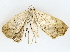  ( - BIOUG62730-B02)  @11 [ ] CreativeCommons - Attribution (2022) CBG Photography Group Centre for Biodiversity Genomics