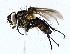  ( - BIOUG62730-C11)  @11 [ ] CreativeCommons - Attribution (2022) CBG Photography Group Centre for Biodiversity Genomics