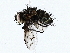  ( - BIOUG62730-D12)  @11 [ ] CreativeCommons - Attribution (2022) CBG Photography Group Centre for Biodiversity Genomics