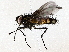  ( - BIOUG62730-H03)  @11 [ ] CreativeCommons - Attribution (2022) CBG Photography Group Centre for Biodiversity Genomics