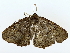  ( - BIOUG70309-E10)  @11 [ ] CreativeCommons - Attribution (2022) CBG Photography Group Centre for Biodiversity Genomics
