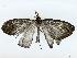  ( - BIOUG70309-F07)  @11 [ ] CreativeCommons - Attribution (2022) CBG Photography Group Centre for Biodiversity Genomics