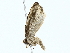  ( - BIOUG70310-A08)  @11 [ ] CreativeCommons - Attribution (2022) CBG Photography Group Centre for Biodiversity Genomics