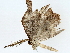  ( - BIOUG70310-B12)  @11 [ ] CreativeCommons - Attribution (2022) CBG Photography Group Centre for Biodiversity Genomics