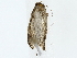  ( - BIOUG70310-D12)  @11 [ ] CreativeCommons - Attribution (2022) CBG Photography Group Centre for Biodiversity Genomics