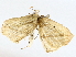  ( - BIOUG72942-G05)  @11 [ ] CreativeCommons - Attribution (2022) CBG Photography Group Centre for Biodiversity Genomics