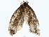  ( - BIOUG72943-E11)  @11 [ ] CreativeCommons - Attribution (2022) CBG Photography Group Centre for Biodiversity Genomics