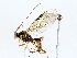  ( - BIOUG72943-G06)  @11 [ ] CreativeCommons - Attribution (2022) CBG Photography Group Centre for Biodiversity Genomics