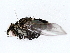 ( - BIOUG72944-C09)  @11 [ ] CreativeCommons - Attribution (2022) CBG Photography Group Centre for Biodiversity Genomics