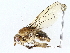  ( - BIOUG72944-C10)  @11 [ ] CreativeCommons - Attribution (2022) CBG Photography Group Centre for Biodiversity Genomics