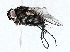  ( - BIOUG72944-E10)  @11 [ ] CreativeCommons - Attribution (2022) CBG Photography Group Centre for Biodiversity Genomics